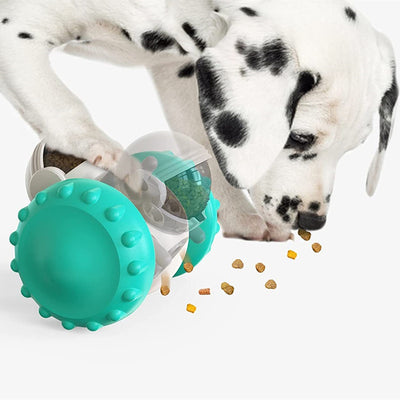 Multifunctional Pet Feeding Toy