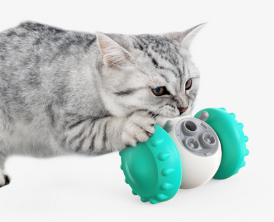 Multifunctional Pet Feeding Toy