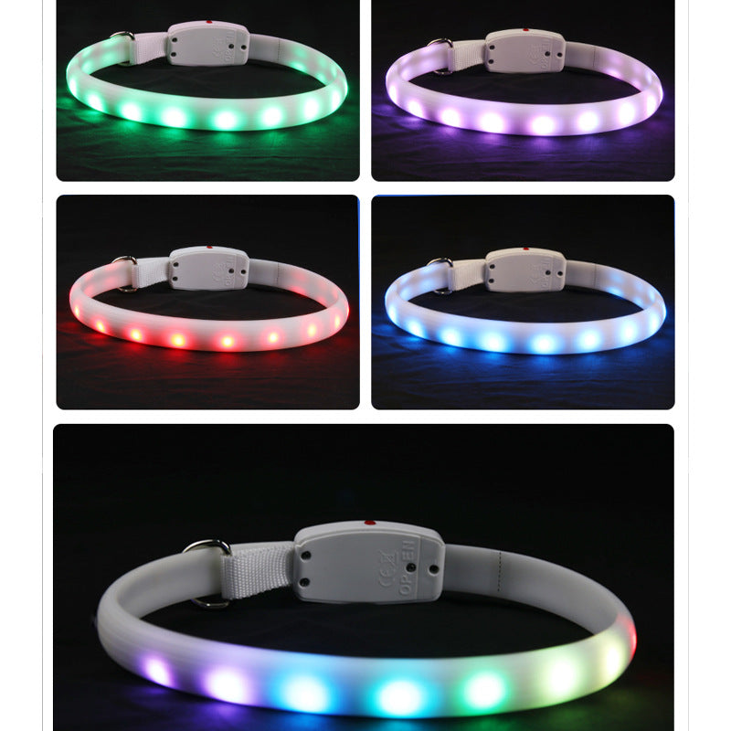 Dog LED Glowing Collar