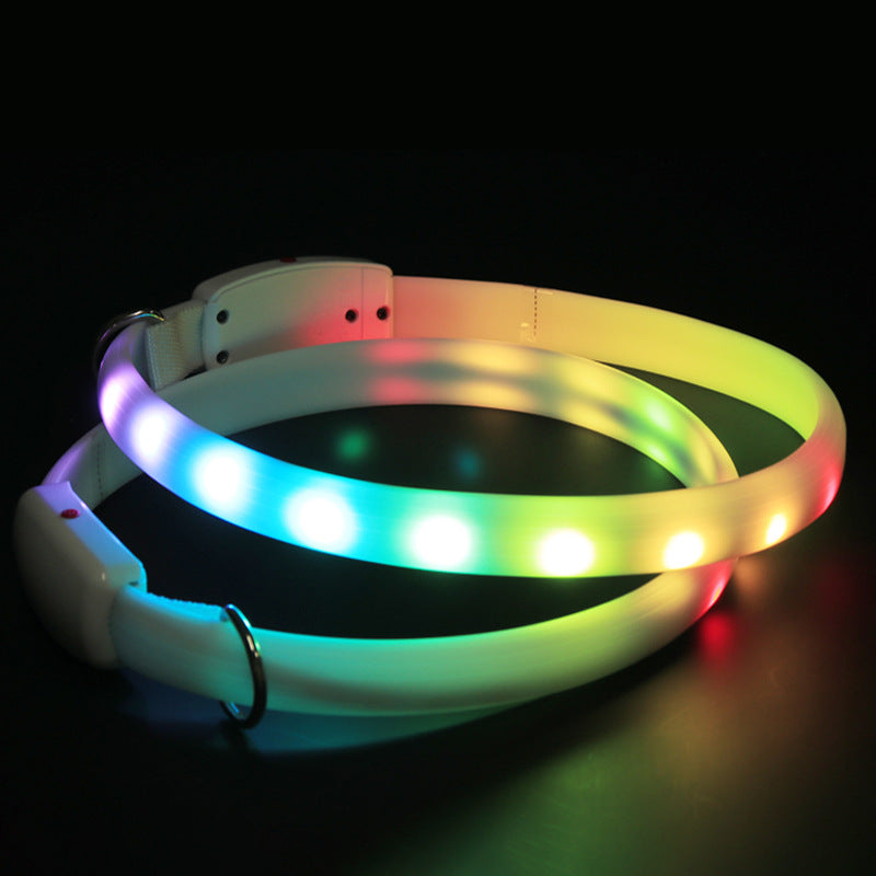 Dog LED Glowing Collar