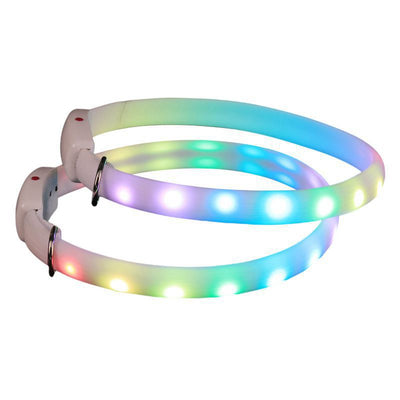 Dog LED Glowing Collar