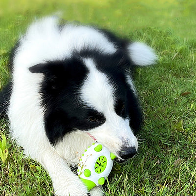 Pet TPR Leaking Food Toys