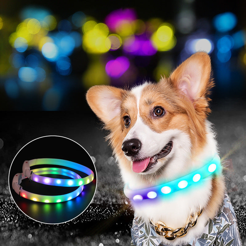 Dog LED Glowing Collar