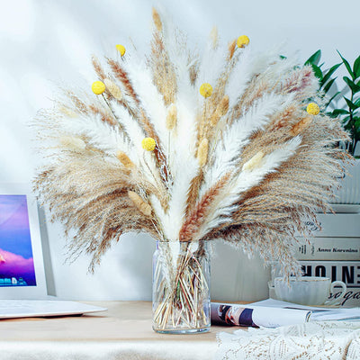 100PCS Natural Dried Pampas Grass Decor 17.5"