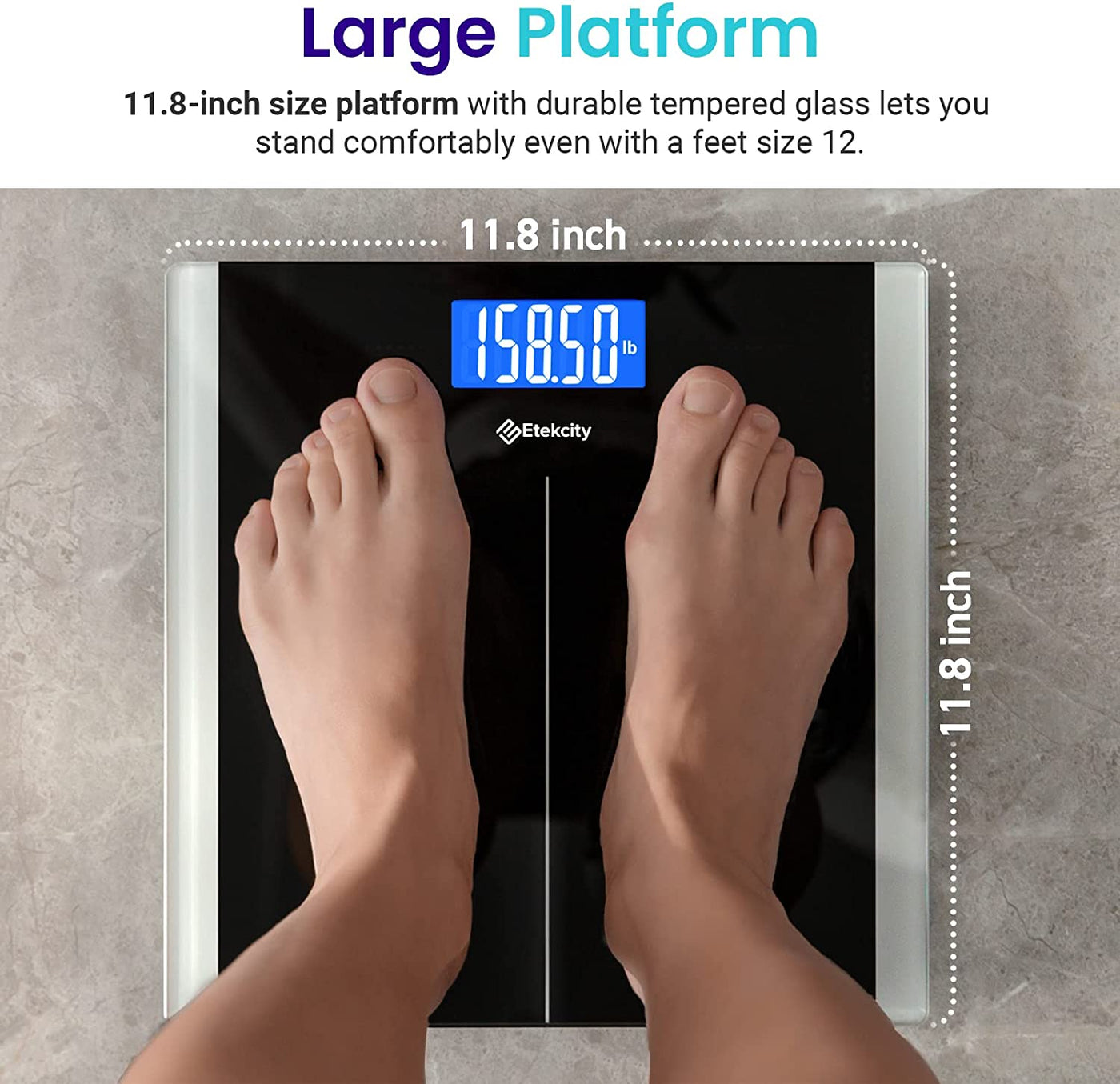 Bathroom Scale for Body Weight, Highly